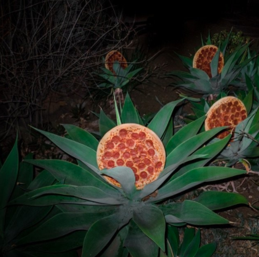 А вы когда-нибудь видели, как растет пицца?
