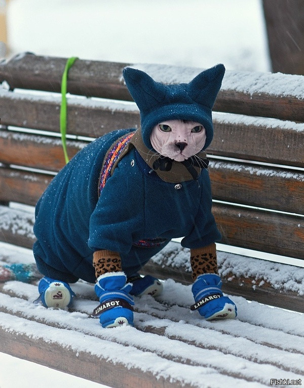 Таки очень холодно в Якутии