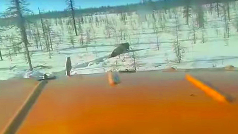 В Якутии живодёры раздавили медведя грузовиками