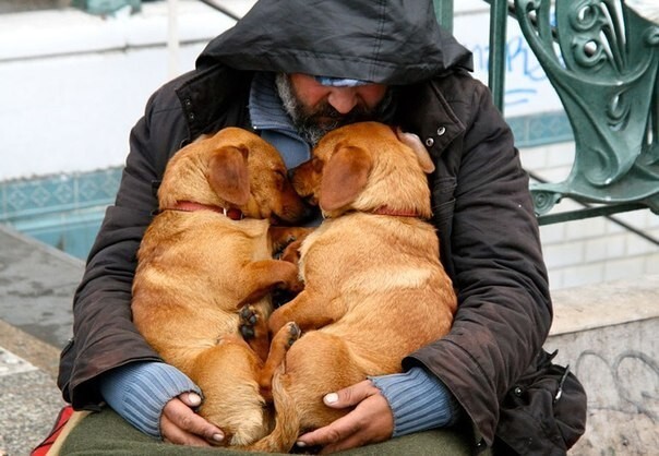 Сильные фото бездомных и их собак
