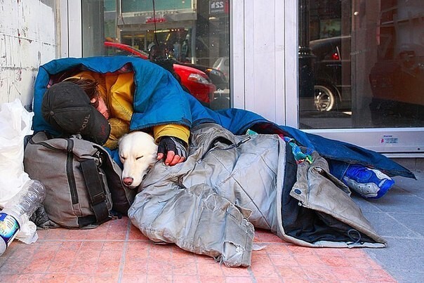 Сильные фото бездомных и их собак