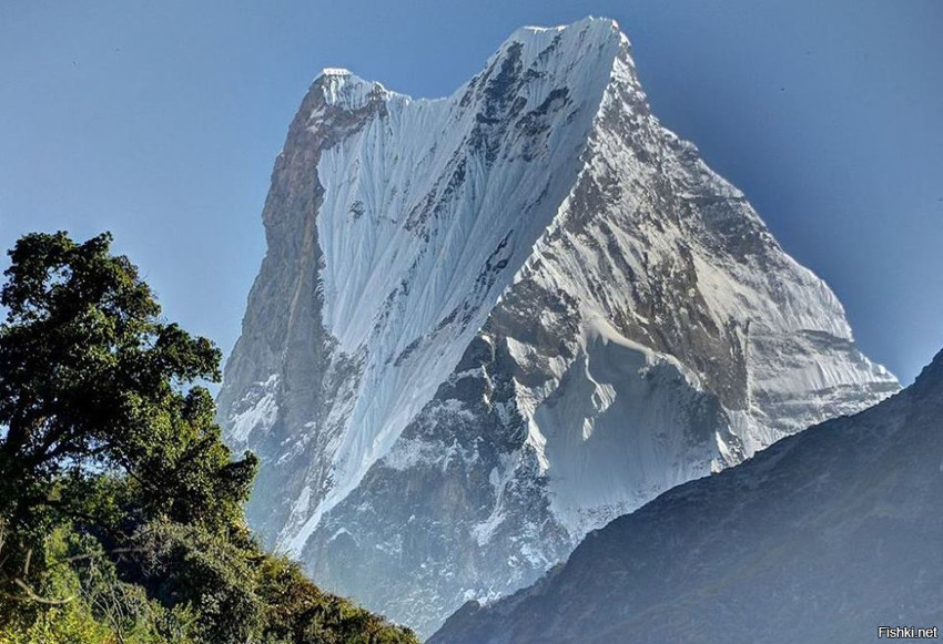 Гора Мачапучаре в Непале – одна из красивейших, но закрытых для альпинизма гор
