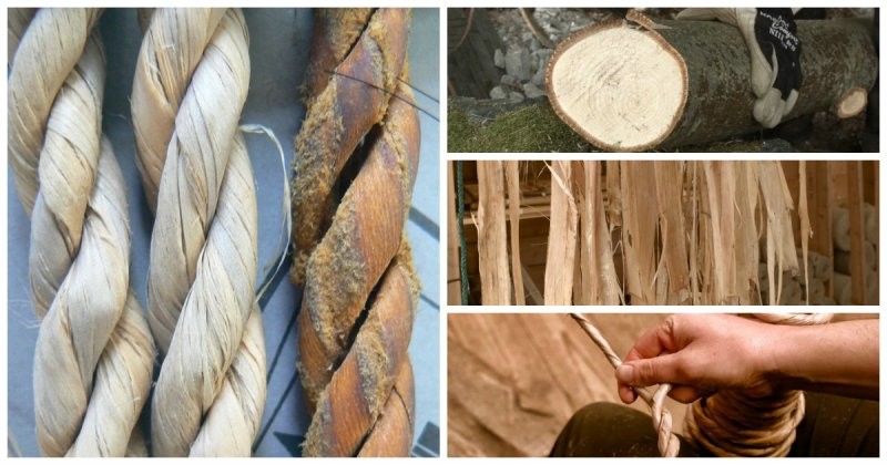 Как сплести веревку из древесной коры, используя технику, которой пользовались викинги более тысячи лет назад