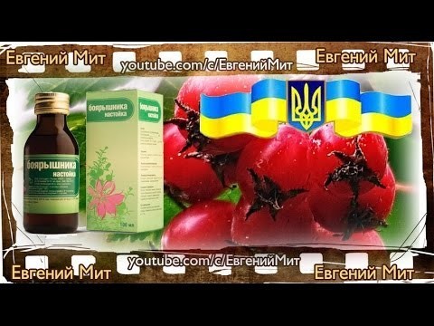 «Украинский Боярышник» убил уже сотни человек! 