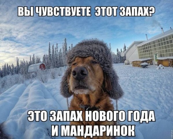 Прикольные фото уходящего года!