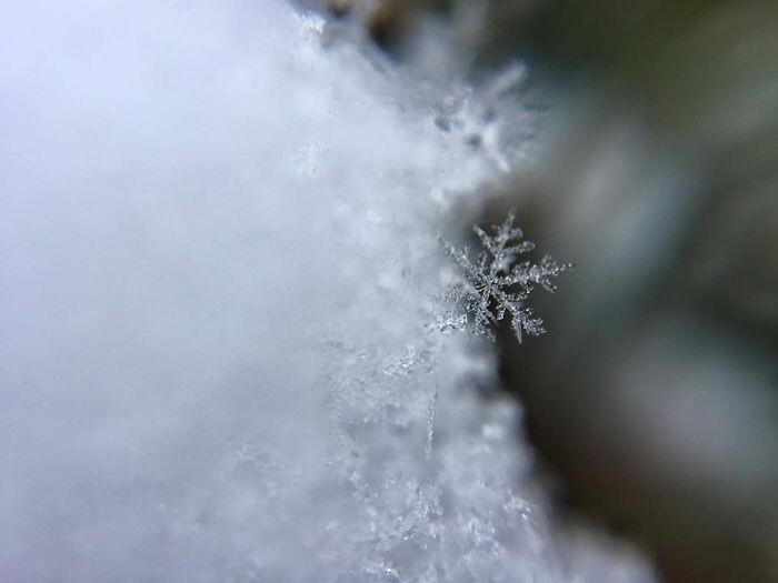 Снежное волшебство: потрясающие фотографии снежинок, сделанные на телефон