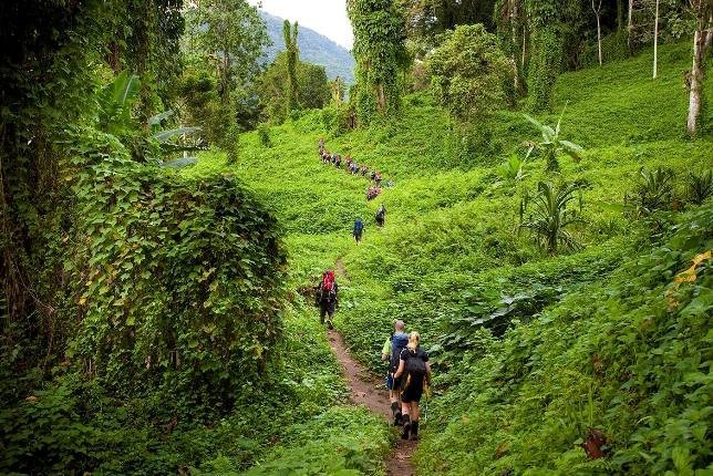 1. Тропа Кокода (Kokoda), Япония