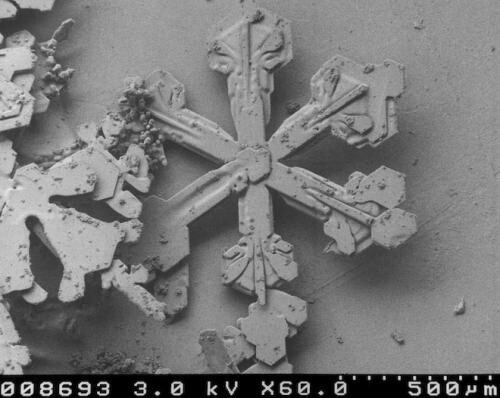 Просто снежинки под микроскопом