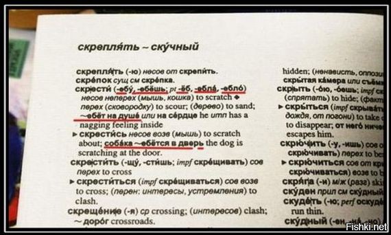 Нескучный словарь)))