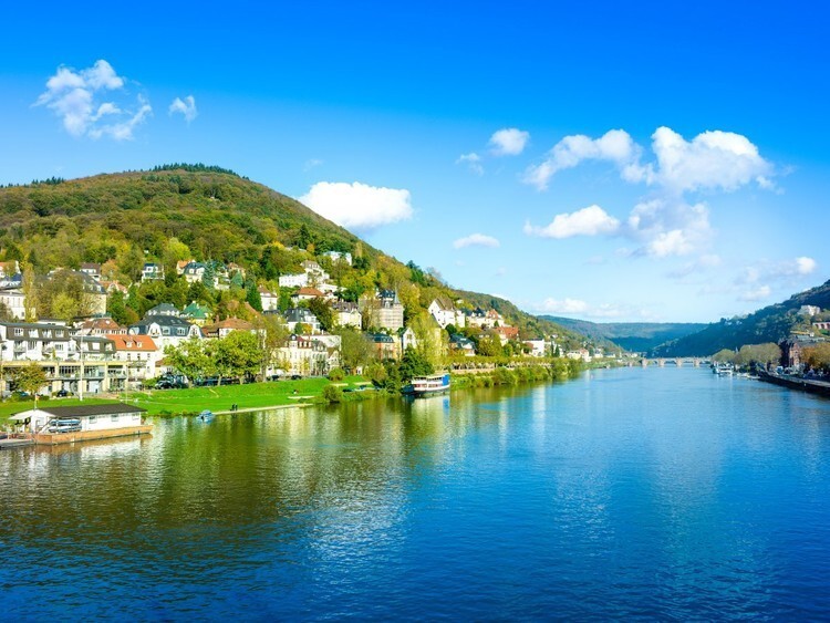 Попробуйте бокал рислинга на берегу Рейна, самой длинной реки в Западной Европе (она тянется из Швейцарии через Германию и доходит до Нидерландов)