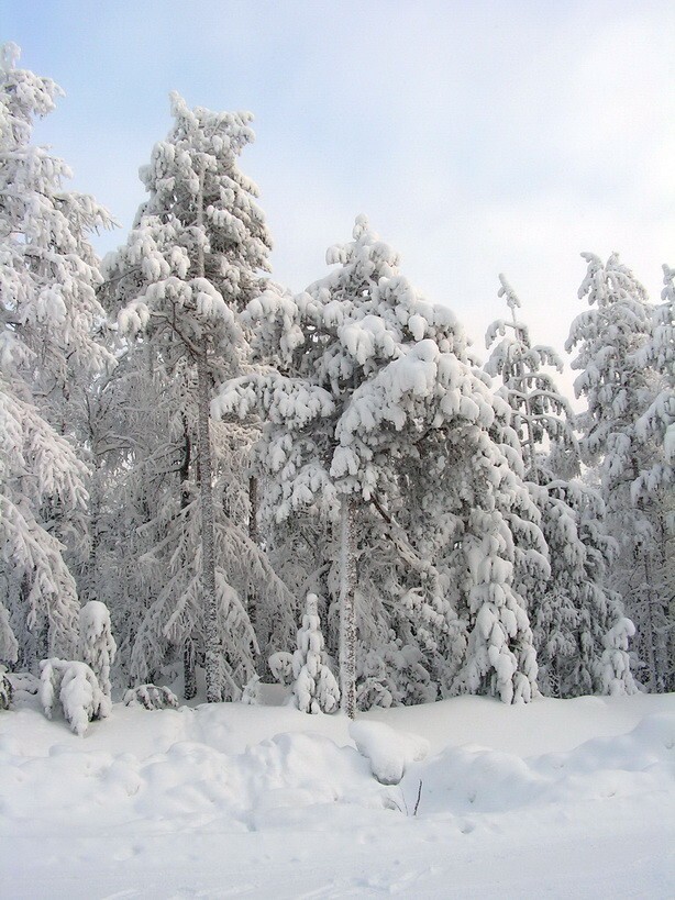 Зима Уральская 2016 год
