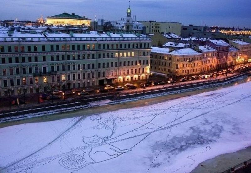 Подборка позитивных и весёлых фотографий