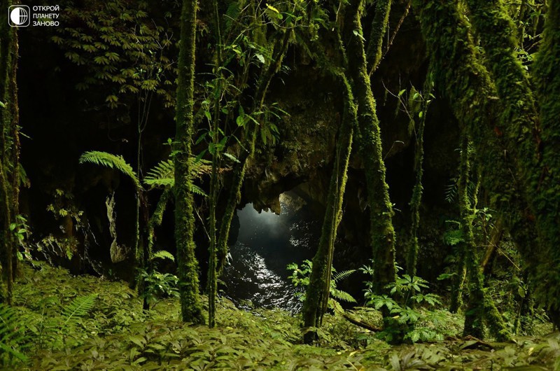 Новая Зеландия — Пещера Светлячков