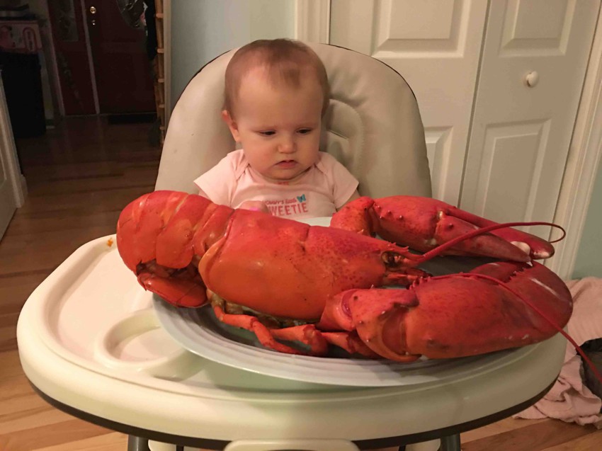 Малышка такому ужину не рада