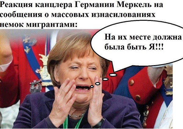 Д. Стешин: «Обгадившаяся немецкая либерасня» и зашкаливающая ненависть к мигрантам