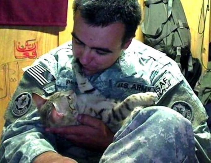 Кошка предотвратила самоубийство американского военного