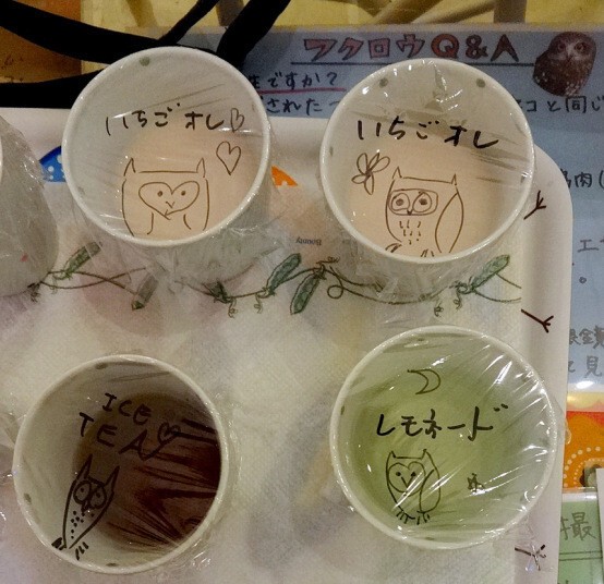 В гостях у сов: необычное кафе в Японии