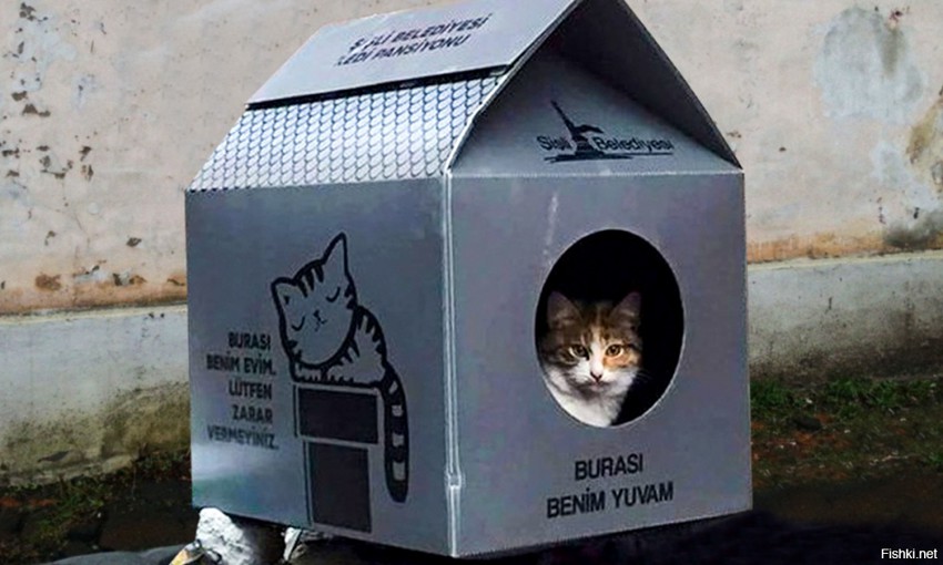 Вот такие домики ставят в Турции бездомным котам