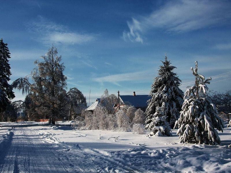 Хорошо зимой в деревне!