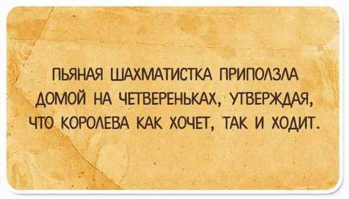 15 забавных открыток для хорошего настроения на весь день