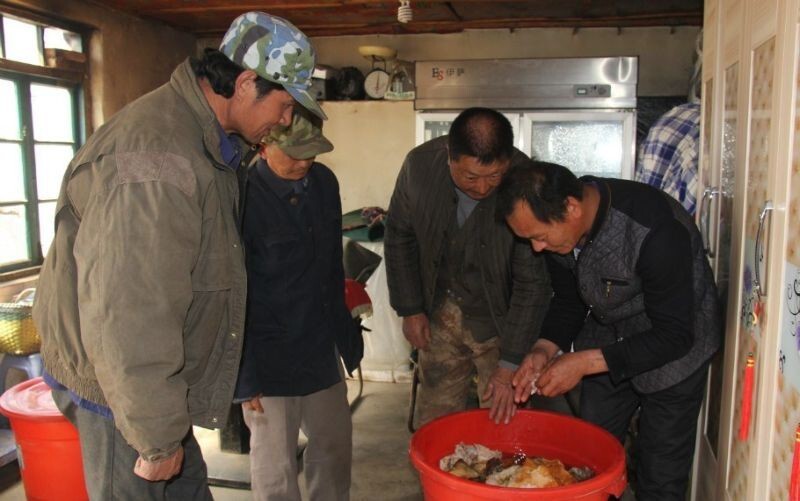 Везучий китаец нашел огромный гриб бессмертия