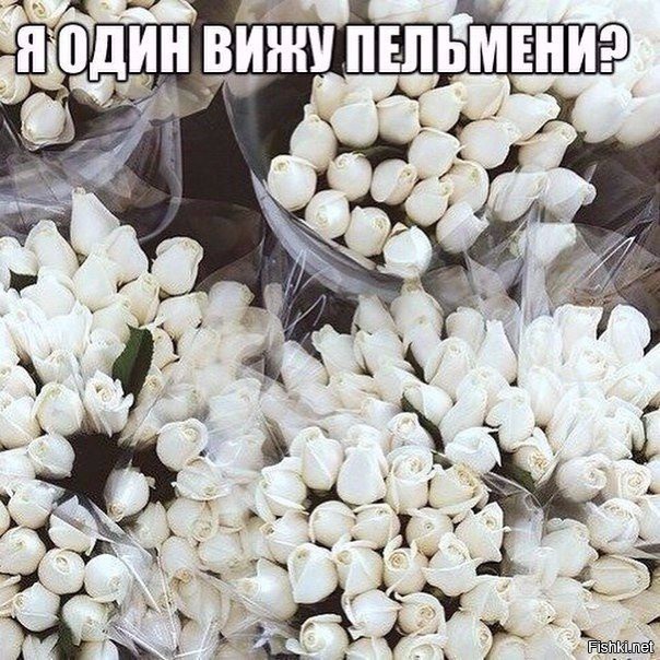 Из солянки