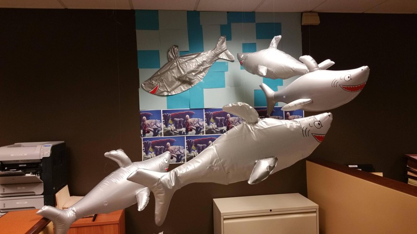 Акулы в офисе