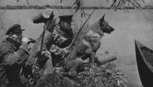 Верные псы войны | Подвиг 150 пограничных собак