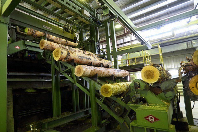 В Асиновском районе Томской области открыт первый из 10 заводов российско-китайского лесопромышленного парка.