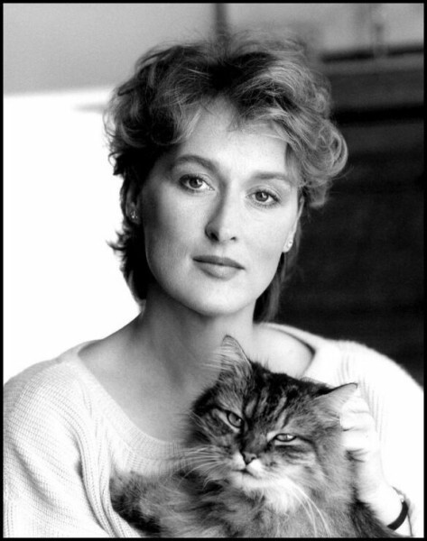 17. Meryl Streep