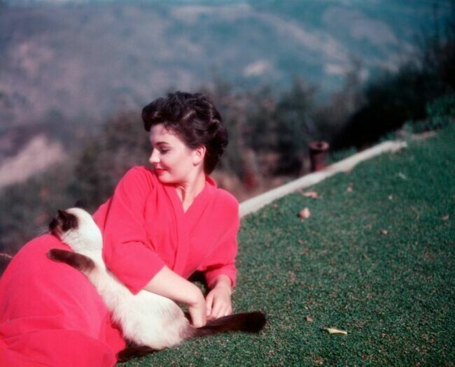 24. Jean Simmons