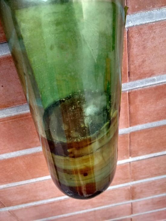 Об этой бутылке вермута забыли на 80 лет