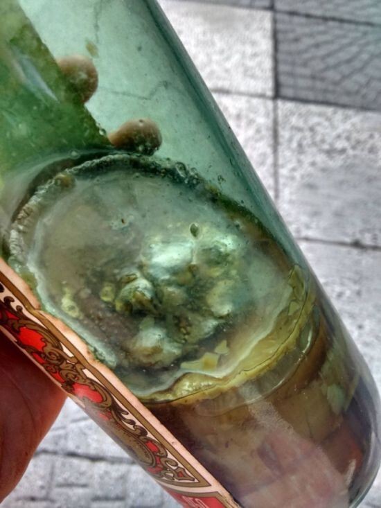 Об этой бутылке вермута забыли на 80 лет