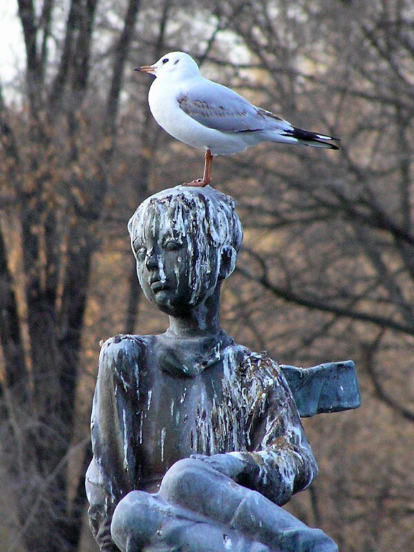 После сытного обеда полагается...