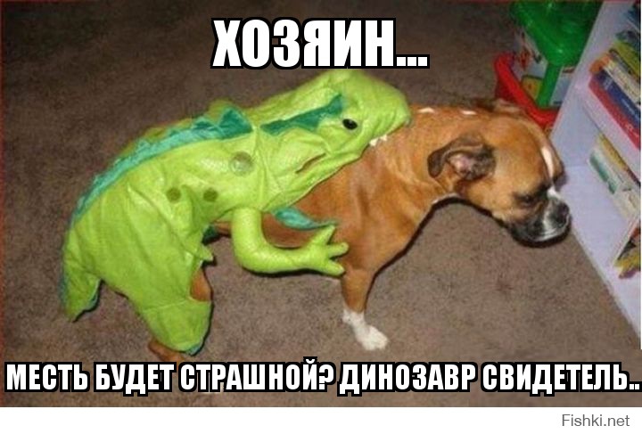 хозяин...