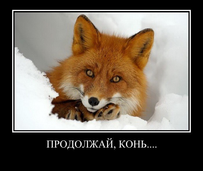 Как пригласить девушку в гости