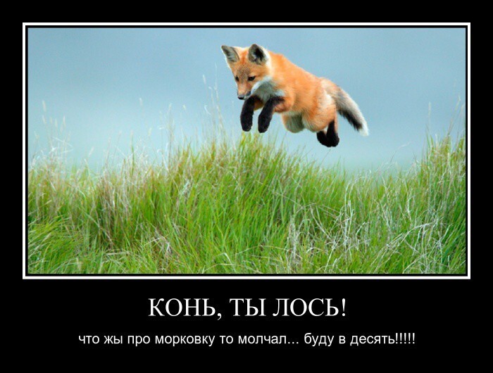 Как пригласить девушку в гости