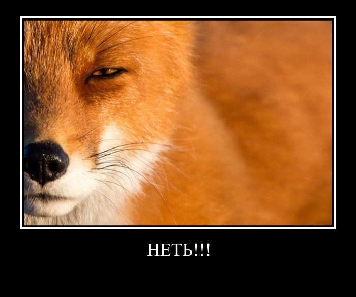 Как пригласить девушку в гости