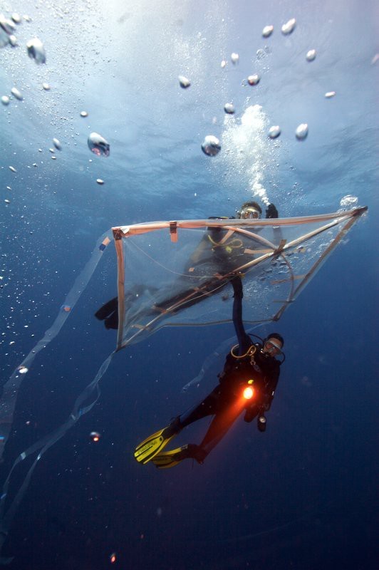 Змей, или история одного выхода