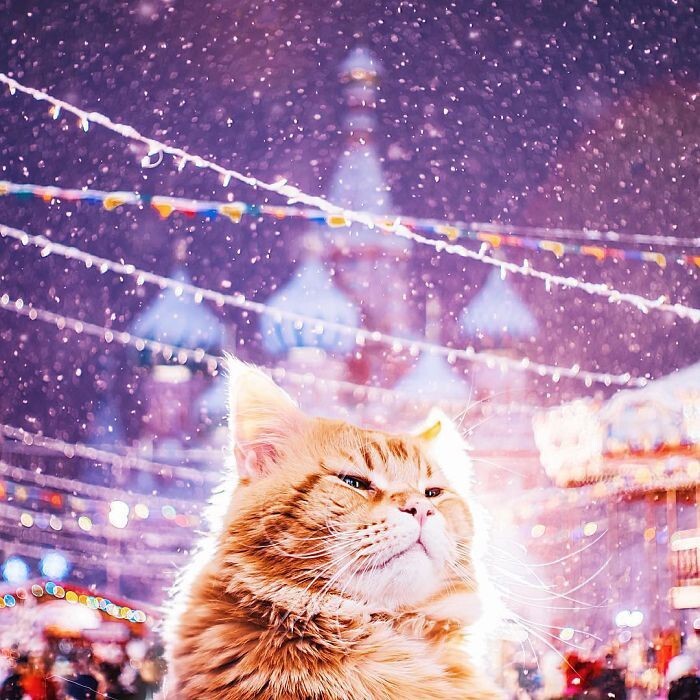 Сказочная рождественская Москва в фотографиях Кристины Макеевой