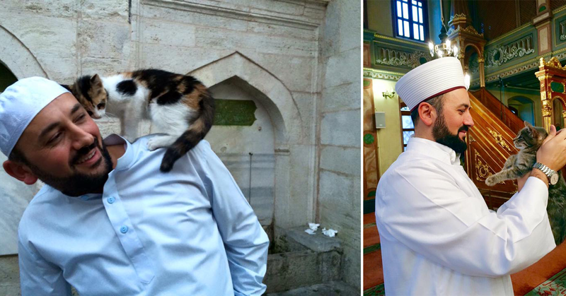 Интернет влюбился в имама из Турции, который приютил кошек в мечети