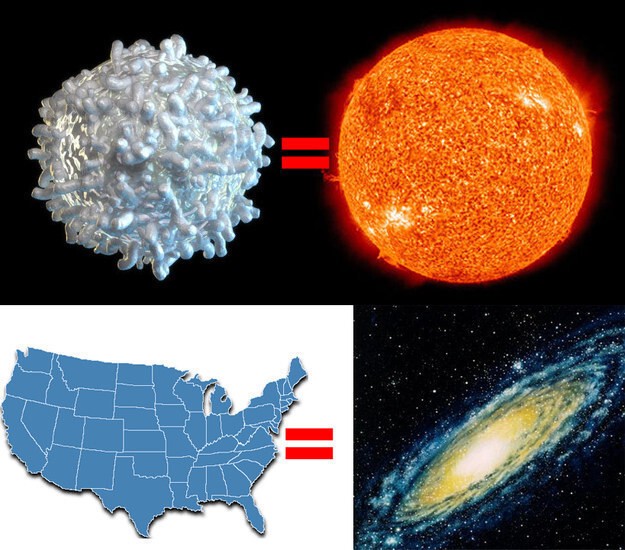 Однако ничто не может сравниться с размером галактики. На самом деле, если вы уменьшите Солнце до размеров белой кровяной клетки и соответственно в таком же масштабе «ужмёте» галактику Млечный Путь, то Млечный Путь будет размером с США.