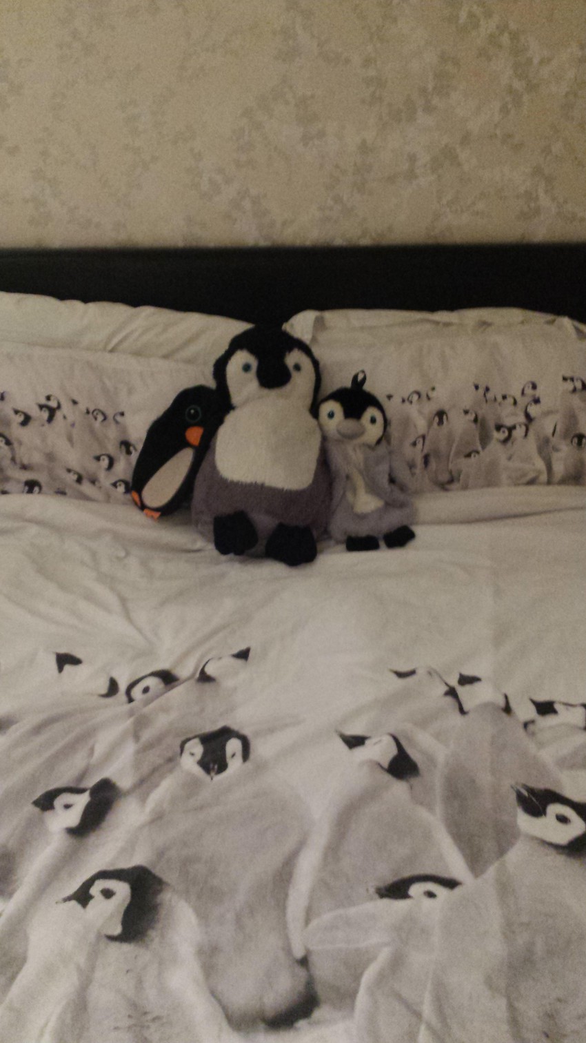 Кровать помешанного на пингвинах 