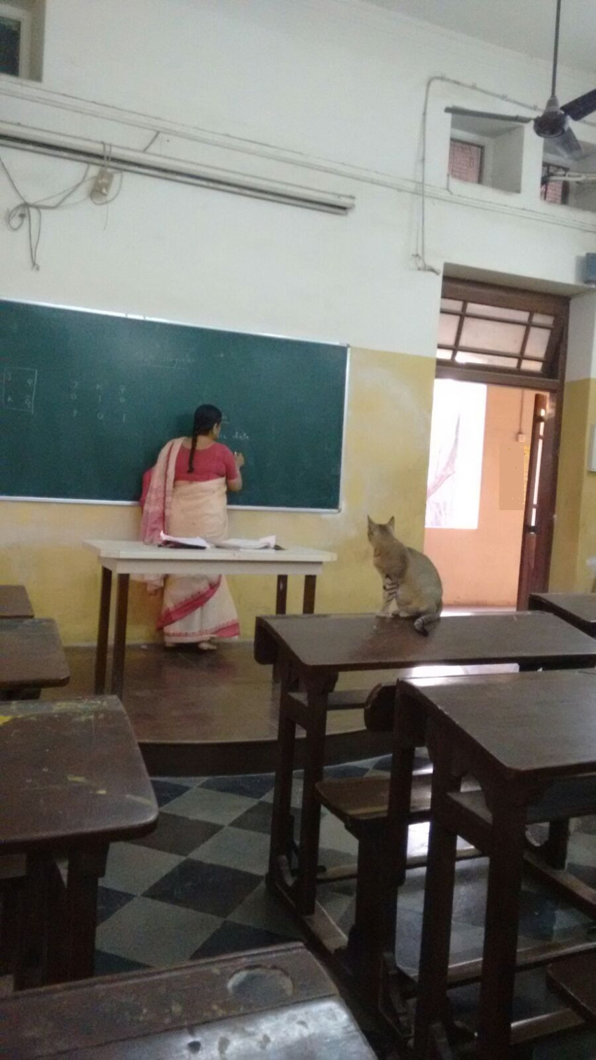 Школа в Индии 