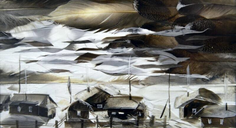 Жительница Якутии создает картины из утиных перьев