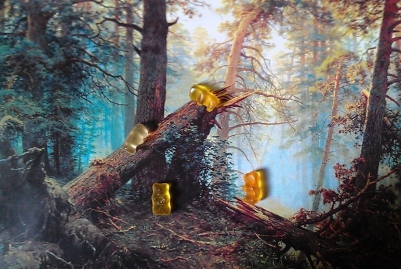 Фотошоп в сосновом лесу