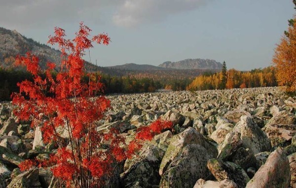 Курумы, или Каменная река Таганая