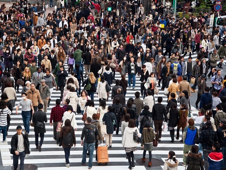 13. Зебра перед станцией Сибуя в Токио, Япония, считается одним из самых используемых переходов в мире. 