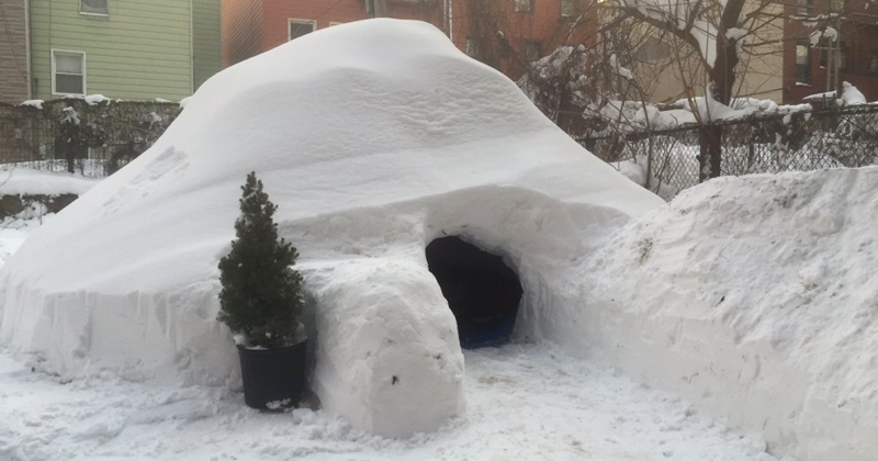 После снежной бури в Бруклине мужчина построил иглу и выставил зимнее жилище в аренду