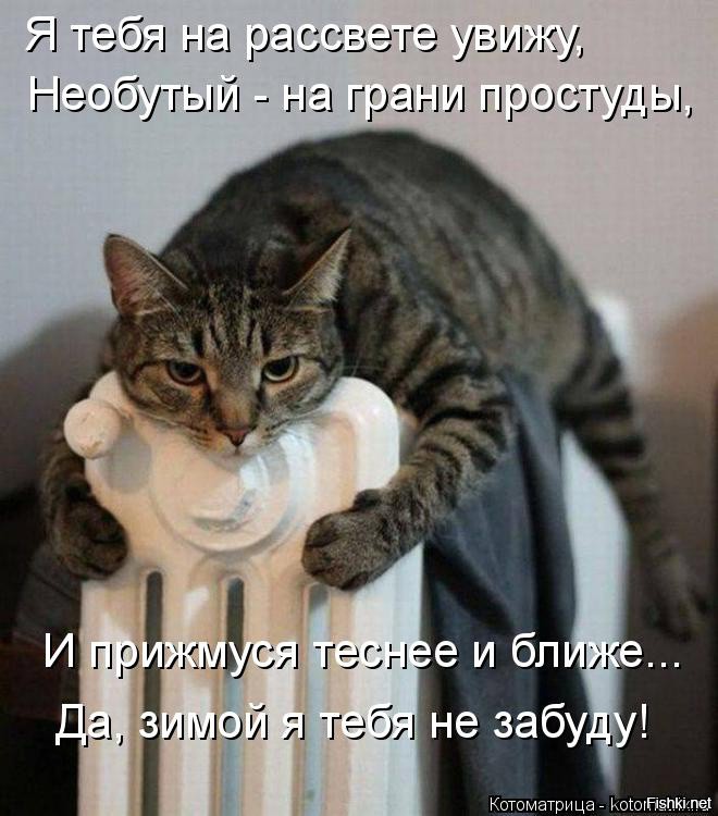 На котоматрице нашла